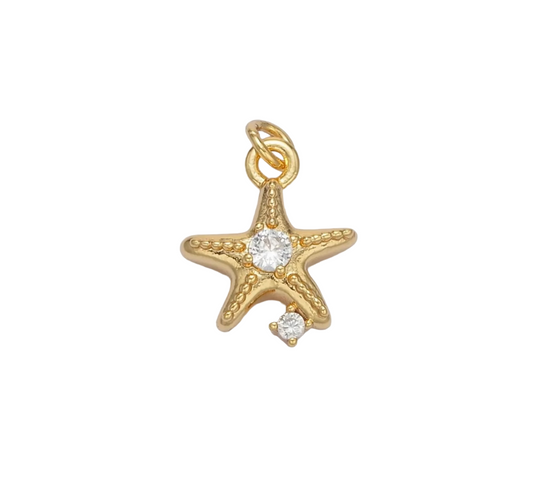 Starfish Clam Shell